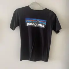 patagonia オーガニックコットン Tシャツ L12サイズのサムネイル