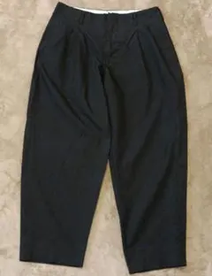 2026年最新】COMME des GARCONS HOMME PLUS メンズ スラックスの人気
