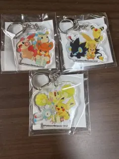 ポケモン アクリルキーホルダー ピカチュウ ヒバニー メッソン
