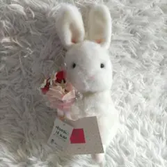 OIKE ウサギ　ぬいぐるみ　中古品 Amazon.co.jp: 希少 1980年代 旧オオイケうさぎのぬいぐるみ