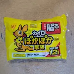 衣類に貼るカイロ・ふつうサイズ10個入・ぽかぽか家族のサムネイル
