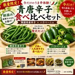 韓国青唐辛子 プッコチ ハラペーニョ 食べ比べセット 新鮮 野菜 激辛 激安　得のサムネイル