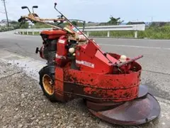 2026年最新】牧草モアの人気アイテム - メルカリ