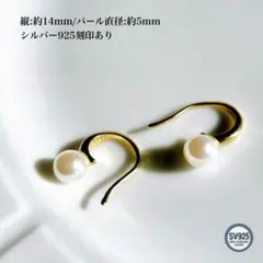 Item thumbnail for item 6ec23fab-2f99-4cb1-bf66-2db7ff854964