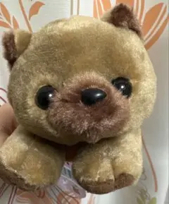 【しば犬のコロ】にほん犬のおともだち✨ジロ(甲斐犬)