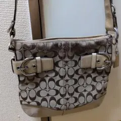 Item thumbnail for item bb4be771-a4b7-4602-8456-2a205d99149c