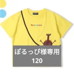 ぽるっぴ様専用