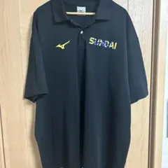 宗像サニックスブルース ラグビージャージ CARISBROOK カリスブルック