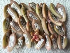 じゅんじゅん様 リクエスト 2点 まとめ商品