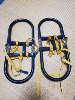 Item thumbnail for item 2bf3e36e-da29-45ab-8234-d58afb9b3fb7