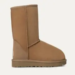 【正規品】ugg 5 クラシックショート チェスナットchestnut