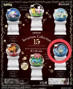 ポケモン テラリウムコレクション15 カメックス