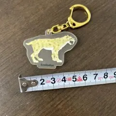 スミロドン アクリルキーホルダー