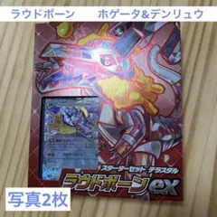 ポケモンカードゲーム スターターセットex ラウドボーン　ホゲータ&デンリュウ