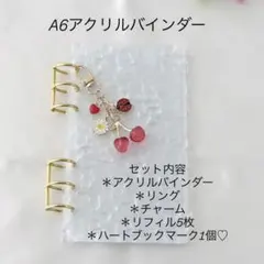 アクリルバインダー♡水流模様 A6韓国バインダー貯金 savingチェリーRed