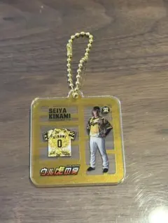 2025年最新】木浪聖也の人気アイテム - メルカリ