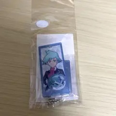ポケモンマスターズEX　ポケモン　チーム編成アクリルスタンド　ダイゴ　アニメイト