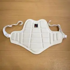 HIROTA プロテクター　Sサイズ