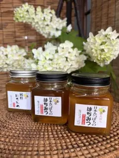 ハチミツ 日本蜜蜂の蜂蜜 奥山の奥のはちみつ 1本花粉入り - メルカリ