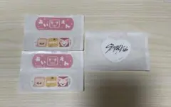 skzoo 폭시니 아이엔 빠헴 선민 charmaid