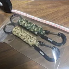 Item thumbnail for item 13eb0f71-628b-4777-a098-ed709ad89732