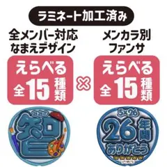 即購入OK！嵐 ファンサうちわ 両面セット