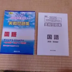 駿台2025大学入試共通テスト　実戦問題集　国語