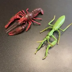 アニア　昆虫　海の生き物　フィギュア２点セット　こどもキッズおもちゃ
