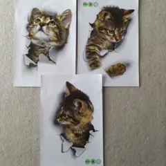 猫のウォールステッカー 3枚セット A4サイズ