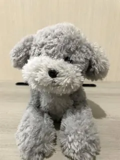 サンレモン　トイプードル　グレー　ぬいぐるみのサムネイル