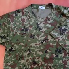 Item thumbnail for item fe54889c-0d04-450a-94bb-2171aed2f72f