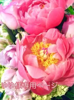 ゆゆ様ご専用ページにございます♡