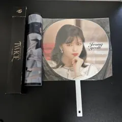 TWICE Jeongyeon うちわ、ライブ クリアポスター