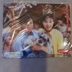 Item thumbnail for item 5657bc03-52f6-4565-b800-8a2b03e579d8