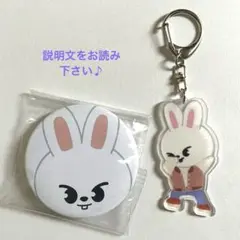 straykids リノ アイドル
