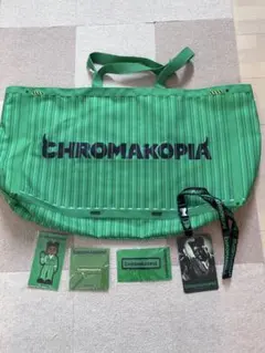 Tyler the creator Chromakopia VIP限定グッズ