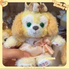 写真子発送❣️上海ディズニー　バースデーお誕生日　クッキーアンssぬいぐるみ お誕生日 クッキーアン ぬいぐるみSS❘上海ディズニー – リーナ