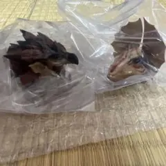 モンスターハンターワイルズ一番くじ　C賞　リオレウス＆イャンクック