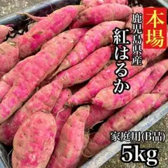 【規格外】紅はるか 訳あり 5kg さつまいも 訳あり さつま芋 60