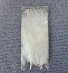 Item thumbnail for item 9fcdc2f3-4b51-4bb7-a18c-c7e34899b536