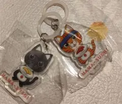 Item thumbnail for item d0e16b72-dbdf-43db-b82d-5dbab8256c20