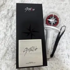 straykids スキズ ストレイキッズ ペンライト