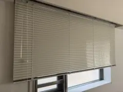 Item thumbnail for item 569b4adb-8d99-4c77-8737-c2fcbe623d22