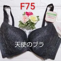 Item thumbnail for item 467e7e50-0a17-48d5-9670-ea615e4186c6