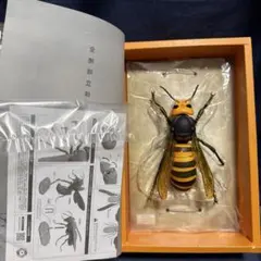 2026年最新】オオスズメバチ リボジオの人気アイテム - メルカリ