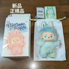 み*し様 THE MONSTERS Big into Energy ラブブ 平静