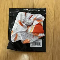 すとめも9 シュシュくじ　じぇるくん