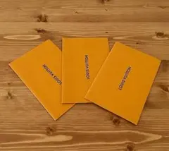 LOUIS VUITTON ミニ封筒 3枚セット