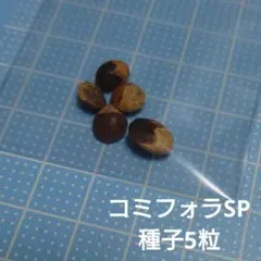 2026年最新】コミフォラの人気アイテム - メルカリ