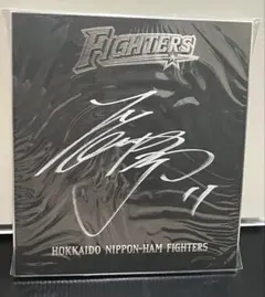 m80495302860_1.jpg?1772802763